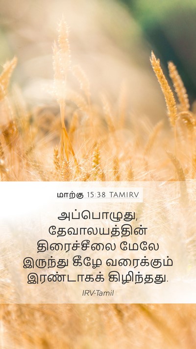 மாற்கு 15:38 TAMIRV Bible Verse Image
