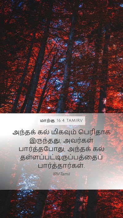 மாற்கு 16:4 TAMIRV Mobile Phone Wallpaper - அந்தக் கல் - Mobile Bible Verse Wallpaper