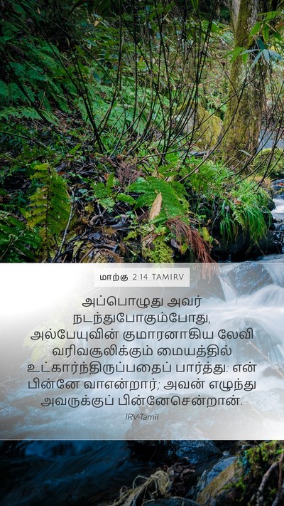 மாற்கு 2:14 TAMIRV Bible Verse Image