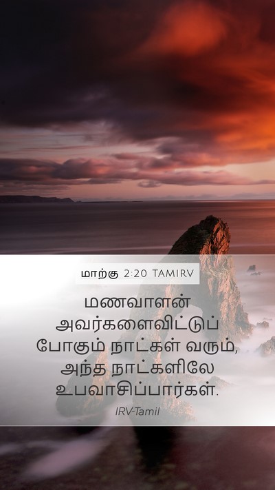 மாற்கு 2:20 TAMIRV Bible Verse Image