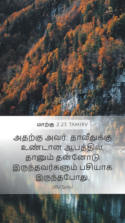 மாற்கு 2:25 TAMIRV Bible Verse Image