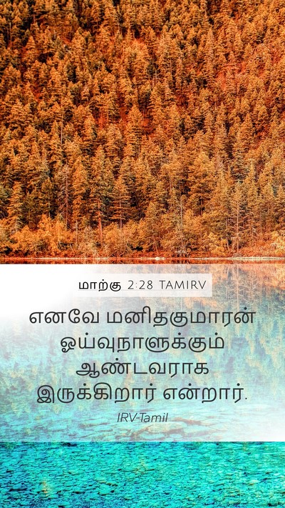 மாற்கு 2:28 TAMIRV Mobile Phone Wallpaper - எனவே மனிதகுமாரன் - Mobile Bible Verse Wallpaper