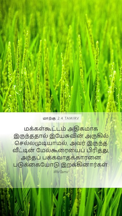 மாற்கு 2:4 TAMIRV Bible Verse Image