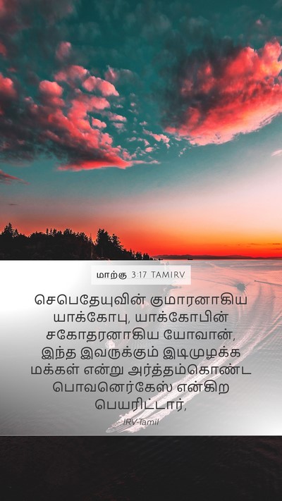 மாற்கு 3:17 TAMIRV Bible Verse Image