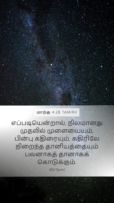மாற்கு 4:28 TAMIRV Mobile Phone Wallpaper - எப்படியென்றால், - Mobile Bible Verse Wallpaper