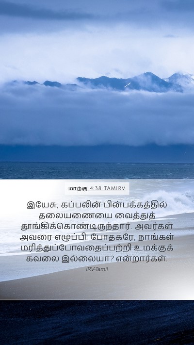 மாற்கு 4:38 TAMIRV Bible Verse Image