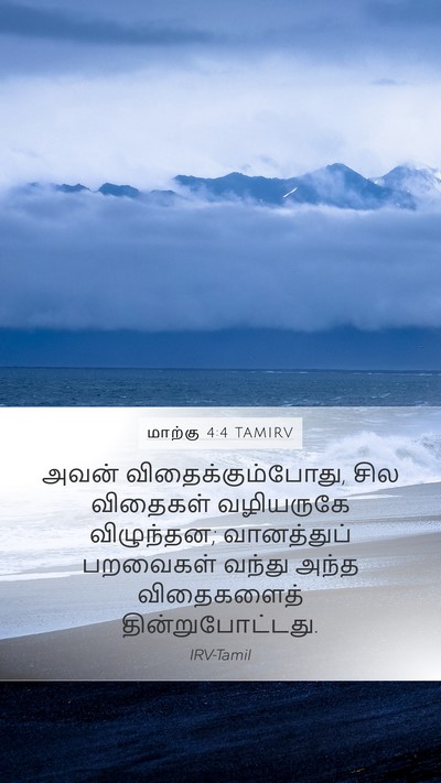 மாற்கு 4:4 TAMIRV Mobile Phone Wallpaper - அவன் - Mobile Bible Verse Wallpaper