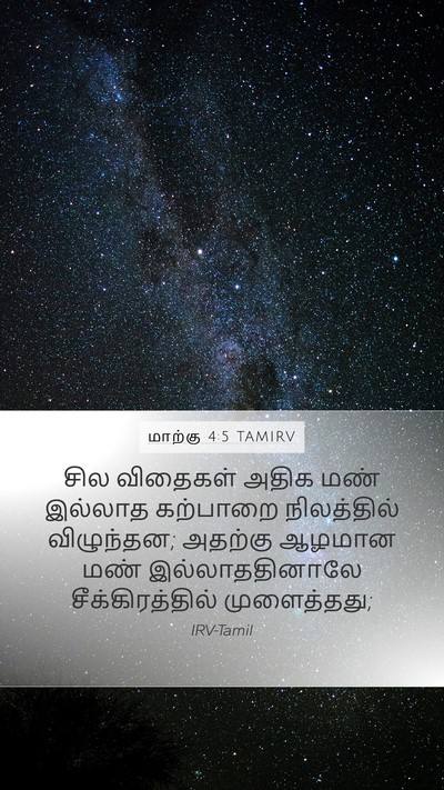 மாற்கு 4:5 TAMIRV Mobile Phone Wallpaper - சில விதைகள் அதிக - Mobile Bible Verse Wallpaper