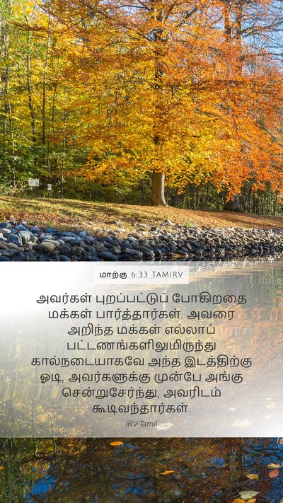 மாற்கு 6:33 TAMIRV Bible Verse Image