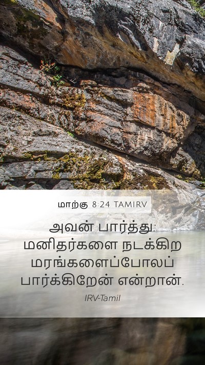 மாற்கு 8:24 TAMIRV Bible Verse Image