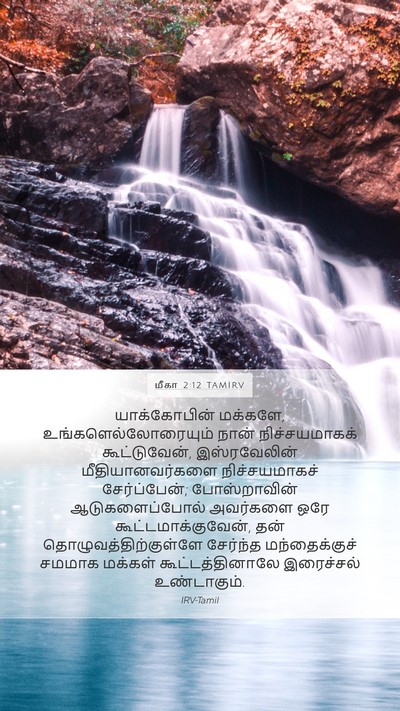 மீகா 2:12 TAMIRV Bible Verse Image