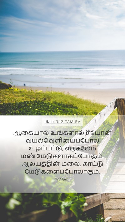 மீகா 3:12 TAMIRV Bible Verse Image