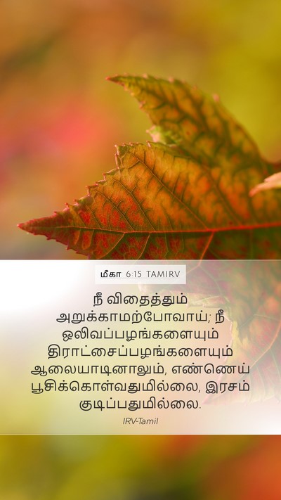 மீகா 6:15 TAMIRV Bible Verse Image