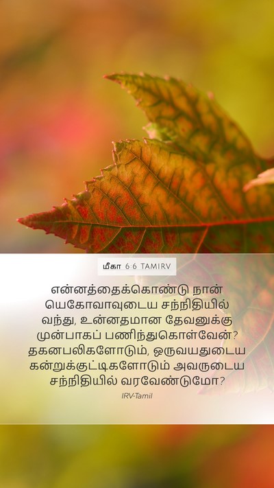 மீகா 6:6 TAMIRV Bible Verse Image