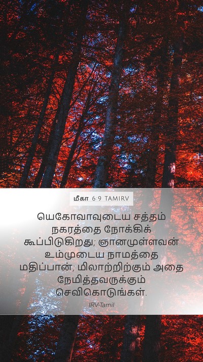 மீகா 6:9 TAMIRV Bible Verse Image
