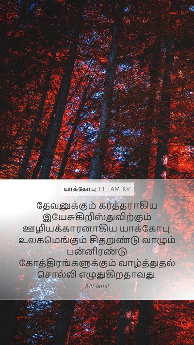 யாக்கோபு 1:1 TAMIRV Mobile Phone Wallpaper - தேவனுக்கும் - Mobile Bible Verse Wallpaper