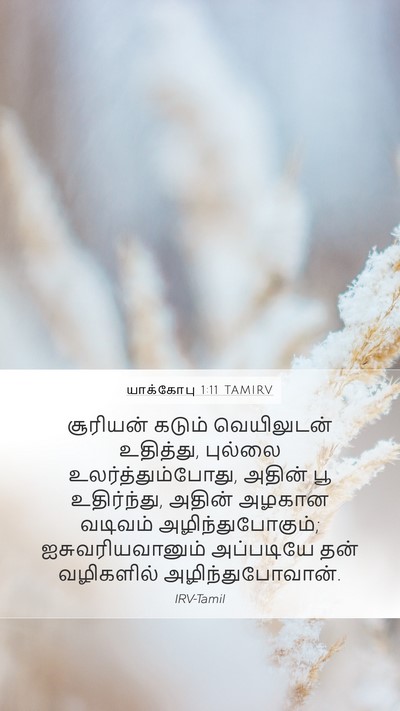 யாக்கோபு 1:11 TAMIRV Mobile Phone Wallpaper - சூரியன் கடும் - Mobile Bible Verse Wallpaper