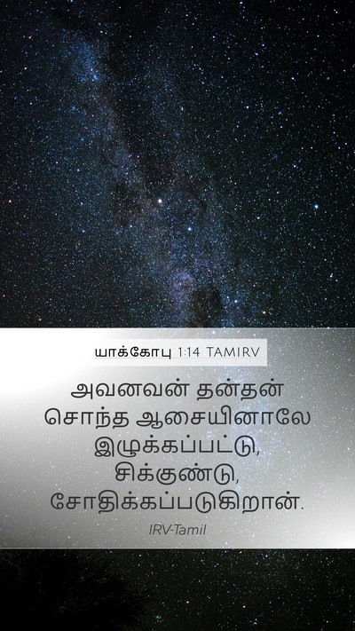 யாக்கோபு 1:14 TAMIRV Bible Verse Image