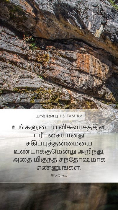 யாக்கோபு 1:3 TAMIRV Bible Verse Image