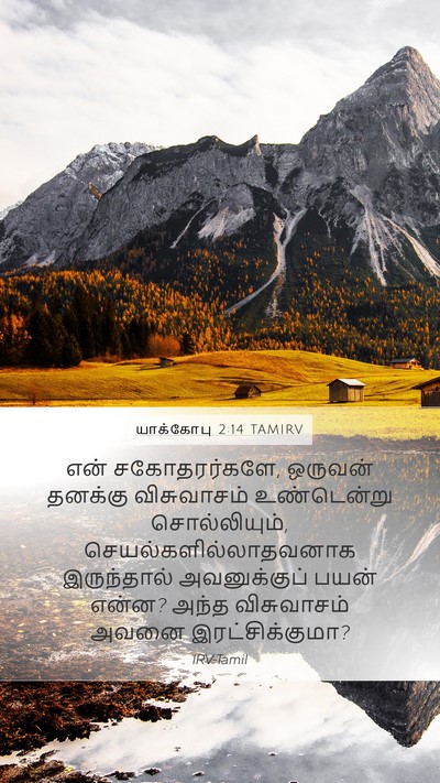 யாக்கோபு 2:14 TAMIRV Bible Verse Image