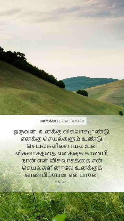 யாக்கோபு 2:18 TAMIRV Bible Verse Image