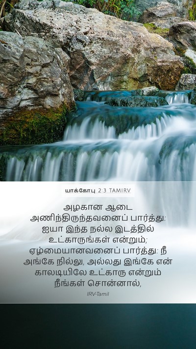 யாக்கோபு 2:3 TAMIRV Mobile Phone Wallpaper - அழகான ஆடை - Mobile Bible Verse Wallpaper