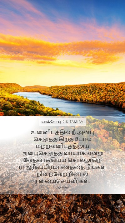யாக்கோபு 2:8 TAMIRV Bible Verse Image