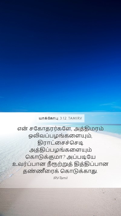 யாக்கோபு 3:12 TAMIRV Mobile Phone Wallpaper - என் சகோதரர்களே, - Mobile Bible Verse Wallpaper