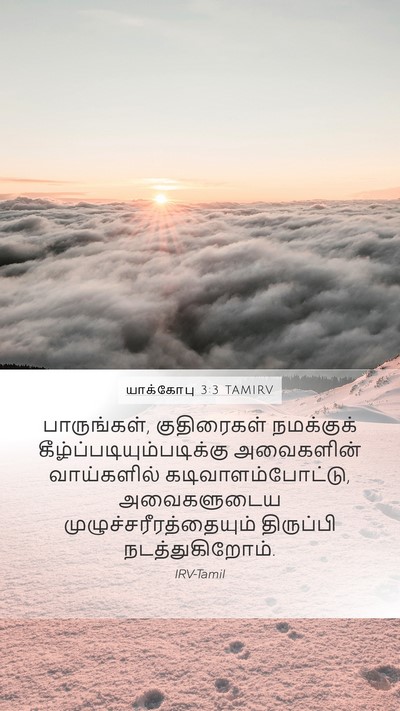 யாக்கோபு 3:3 TAMIRV Mobile Phone Wallpaper - பாருங்கள், - Mobile Bible Verse Wallpaper