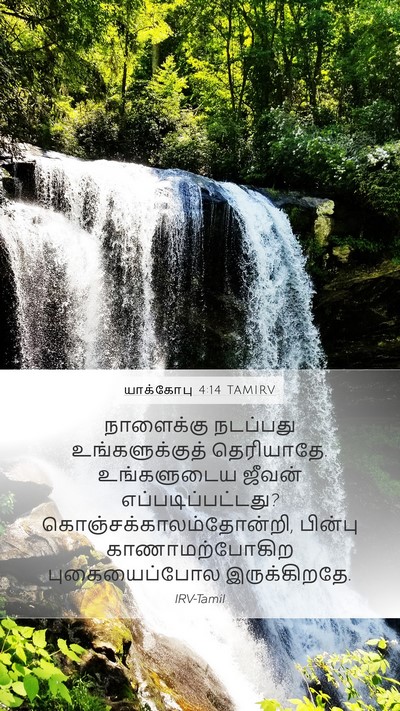 யாக்கோபு 4:14 TAMIRV Bible Verse Image