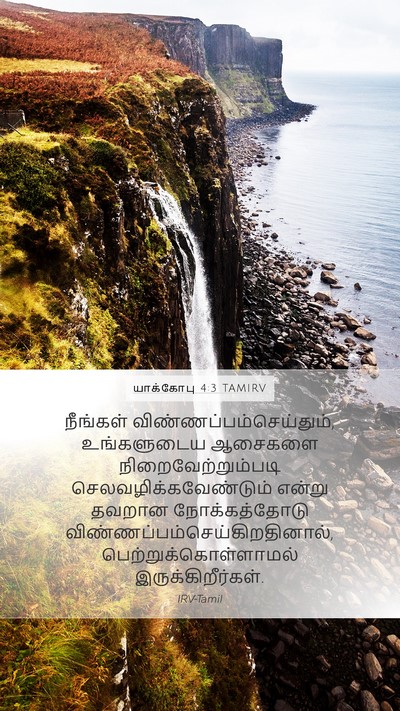 யாக்கோபு 4:3 TAMIRV Bible Verse Image