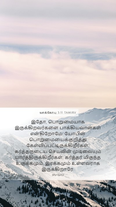 யாக்கோபு 5:11 TAMIRV Bible Verse Image