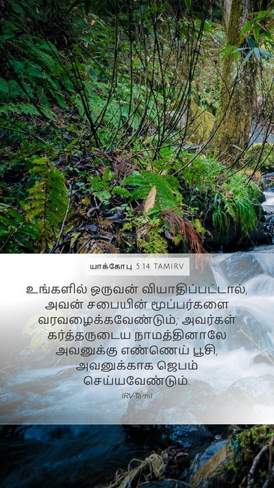 யாக்கோபு 5:14 TAMIRV Bible Verse Image