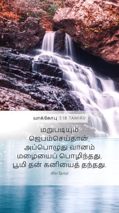 யாக்கோபு 5:18 TAMIRV Mobile Phone Wallpaper - மறுபடியும் - Mobile Bible Verse Wallpaper