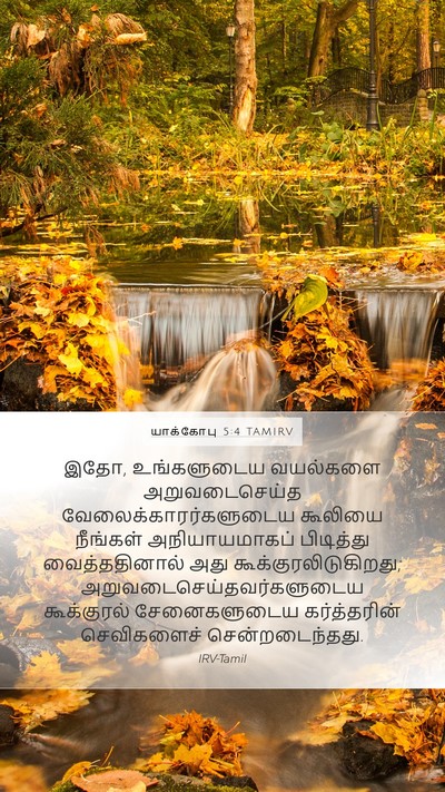 யாக்கோபு 5:4 TAMIRV Bible Verse Image