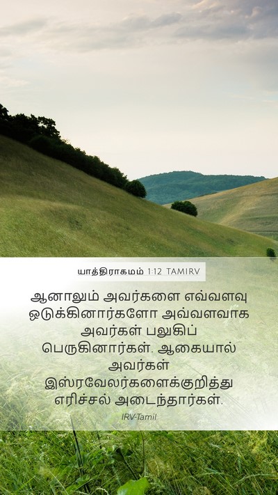 யாத்திராகமம் 1:12 TAMIRV Bible Verse Image