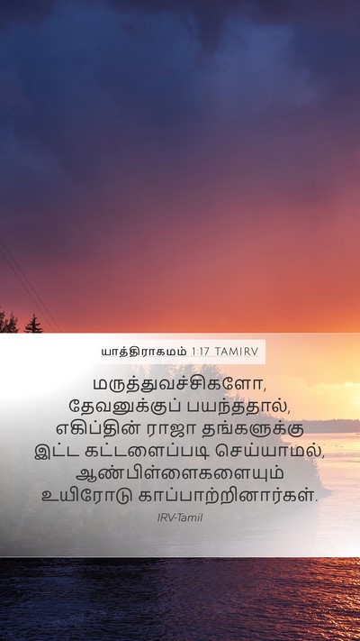 யாத்திராகமம் 1:17 TAMIRV Bible Verse Image