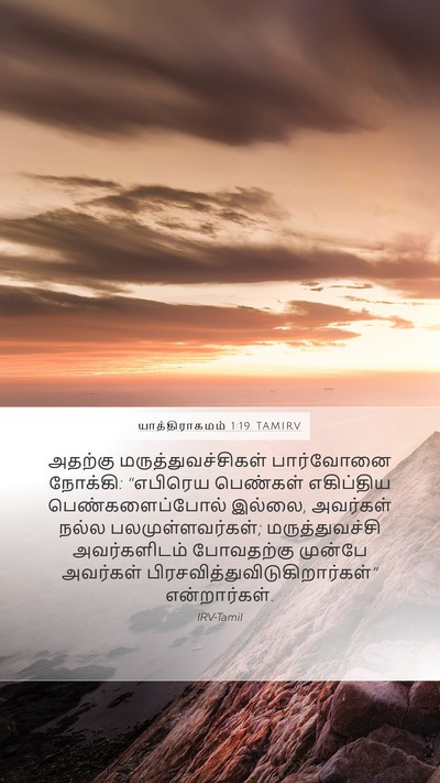 யாத்திராகமம் 1:19 TAMIRV Bible Verse Image