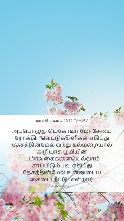 யாத்திராகமம் 10:12 TAMIRV Bible Verse Image