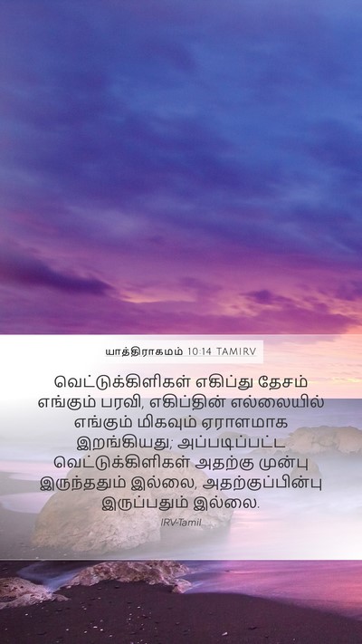 யாத்திராகமம் 10:14 TAMIRV Bible Verse Image