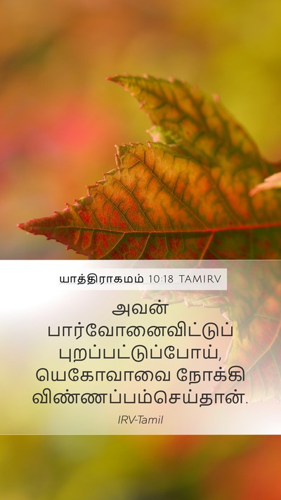 யாத்திராகமம் 10:18 TAMIRV Bible Verse Image