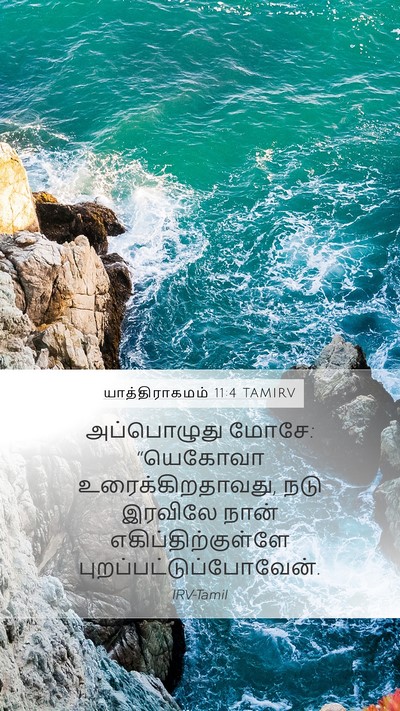 யாத்திராகமம் 11:4 TAMIRV Bible Verse Image