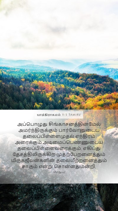 யாத்திராகமம் 11:5 TAMIRV Bible Verse Image