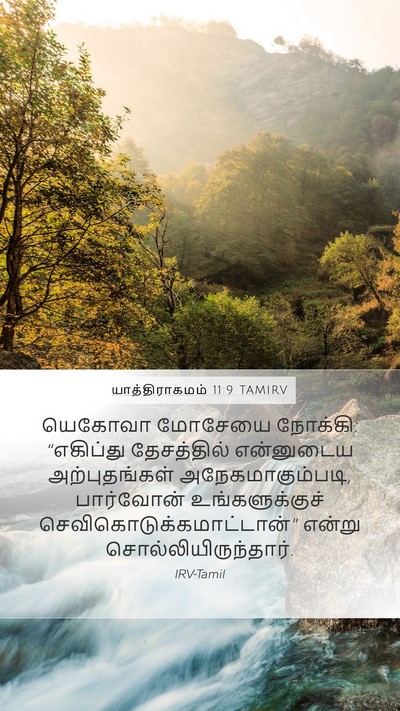 யாத்திராகமம் 11:9 TAMIRV Bible Verse Image