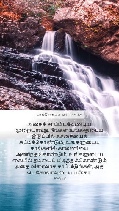 யாத்திராகமம் 12:11 TAMIRV Bible Verse Image