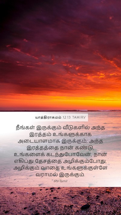 யாத்திராகமம் 12:13 TAMIRV Bible Verse Image