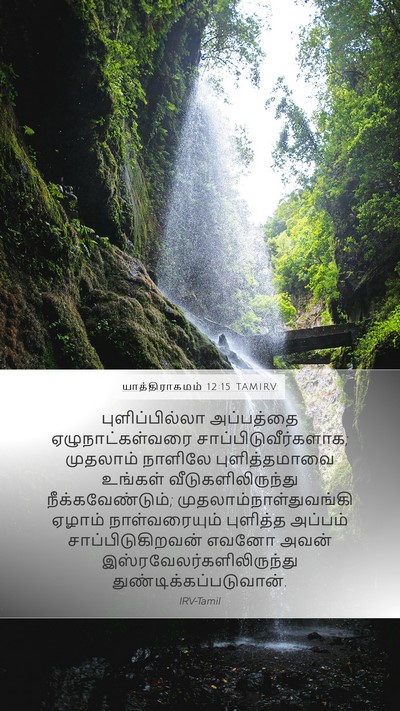 யாத்திராகமம் 12:15 TAMIRV Bible Verse Image