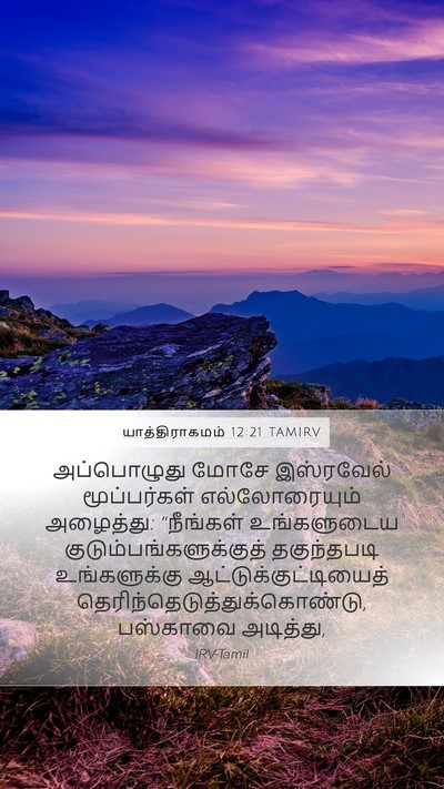 யாத்திராகமம் 12:21 TAMIRV Bible Verse Image