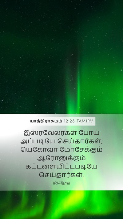 யாத்திராகமம் 12:28 TAMIRV Bible Verse Image