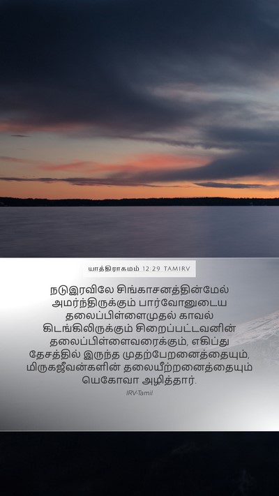 யாத்திராகமம் 12:29 TAMIRV Bible Verse Image